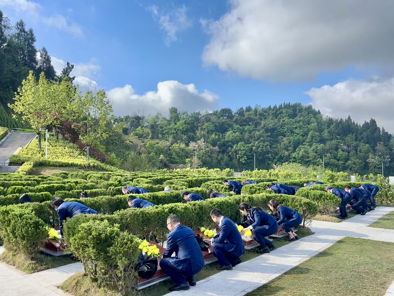 1775184065320027286.png 图片2.png